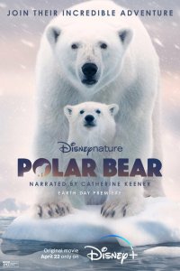 Смотреть Полярный медведь онлайн в HD качестве 1080p Смотреть Полярный медведь онлайн в HD качестве 1080p