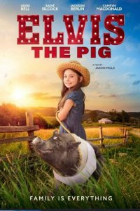 Смотреть Свинка Элвис онлайн в HD качестве 1080p Смотреть Свинка Элвис онлайн в HD качестве 1080p